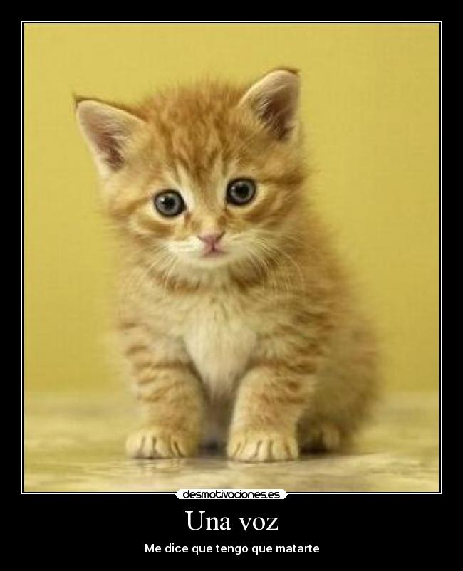 Una voz - Me dice que tengo que matarte