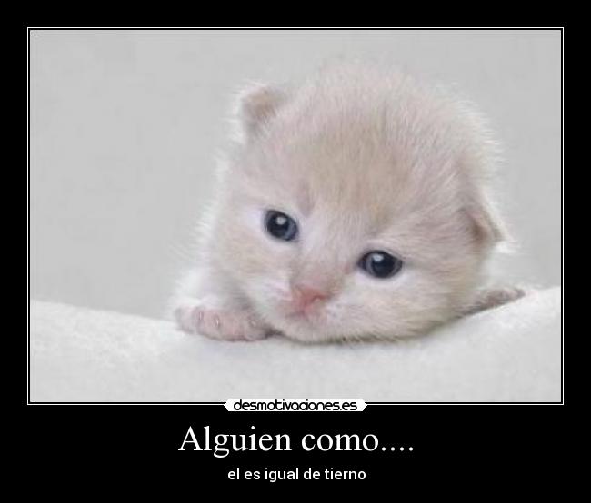 carteles desmotibasiones desmotivaciones