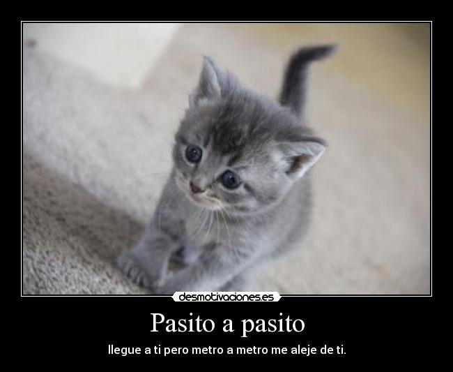 Pasito a pasito - llegue a ti pero metro a metro me aleje de ti.