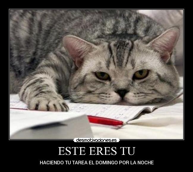 ESTE ERES TU - HACIENDO TU TAREA EL DOMINGO POR LA NOCHE