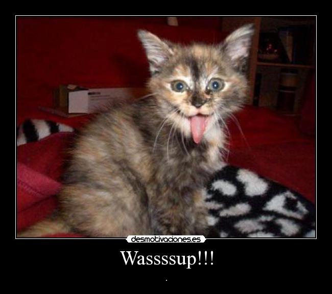Wassssup!!! - .