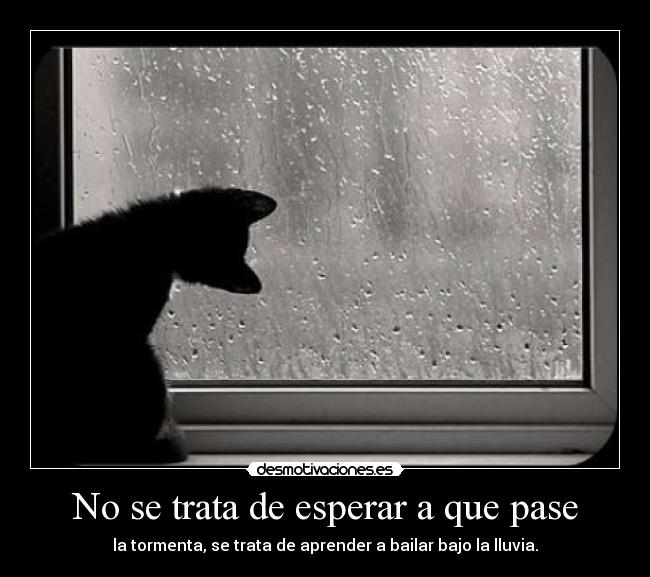 No se trata de esperar a que pase - la tormenta, se trata de aprender a bailar bajo la lluvia.