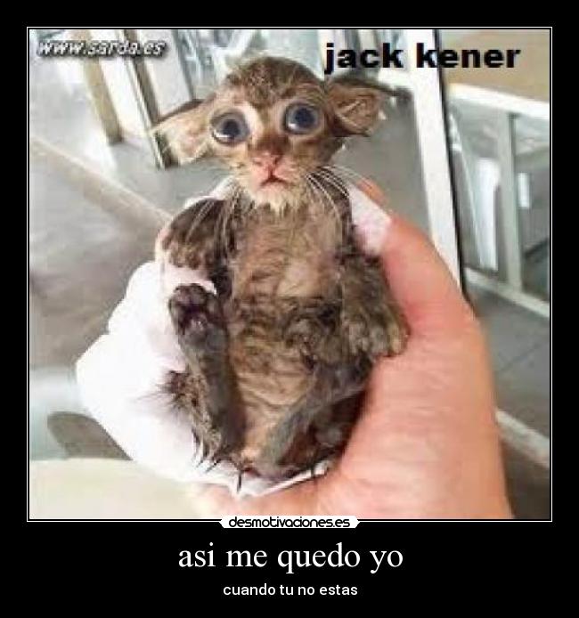 asi me quedo yo - cuando tu no estas