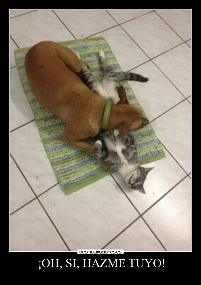 ¡OH, SI, HAZME TUYO! - 