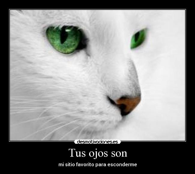 Tus ojos son - mi sitio favorito para esconderme