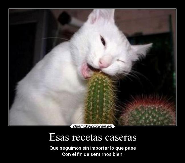 carteles desmotivaciones