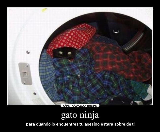 gato ninja - para cuando lo encuentres tu asesino estara sobre de ti