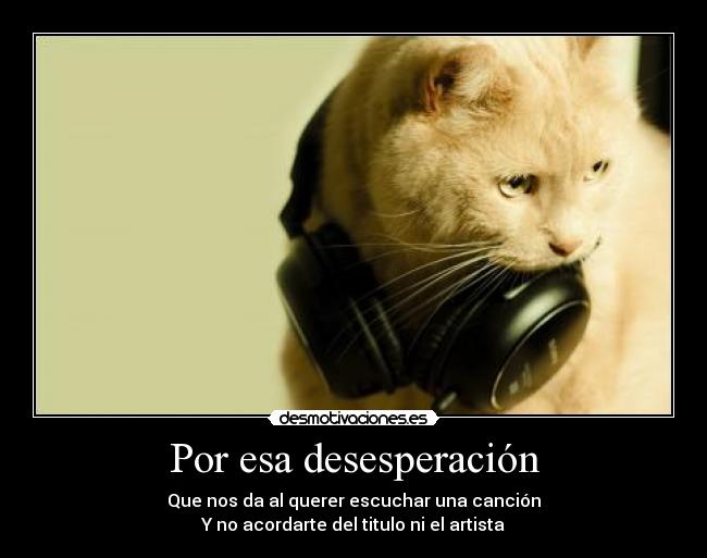 Por esa desesperación - 