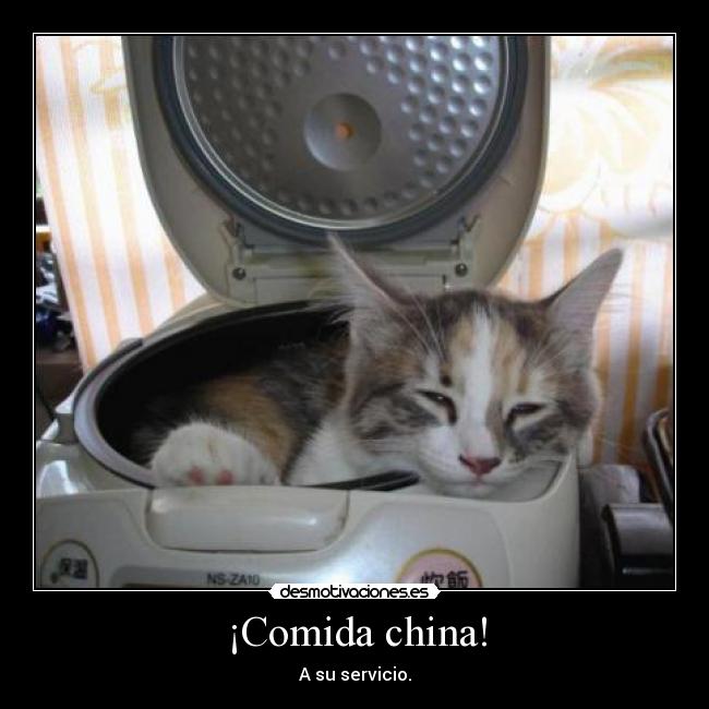 ¡Comida china! -