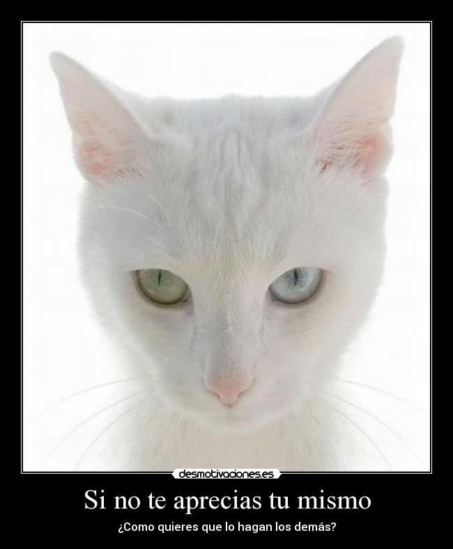 Si no te aprecias tu mismo - 