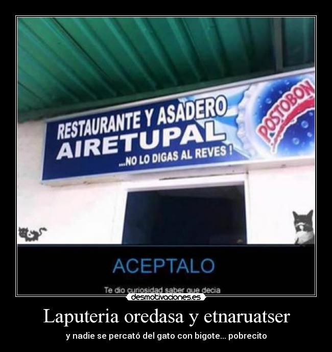 Laputeria oredasa y etnaruatser - y nadie se percató del gato con bigote... pobrecito