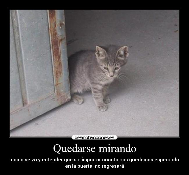 Quedarse mirando -