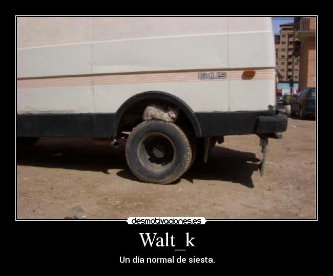 Walt_k - 