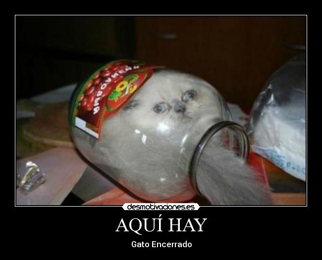 AQUÍ HAY - 