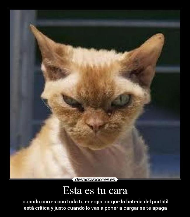 Esta es tu cara - cuando corres con toda tu energía porque la batería del portátil
está crítica y justo cuando lo vas a poner a cargar se te apaga