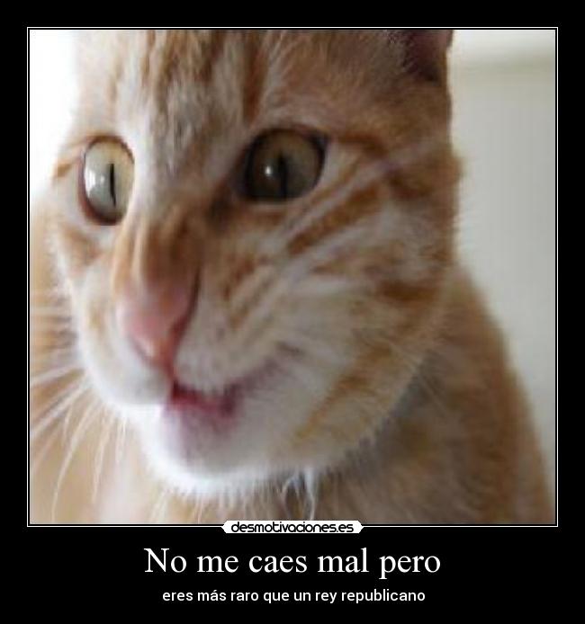 No me caes mal pero - eres más raro que un rey republicano