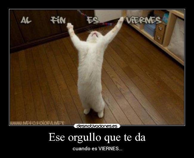 Ese orgullo que te da - cuando es VIERNES...