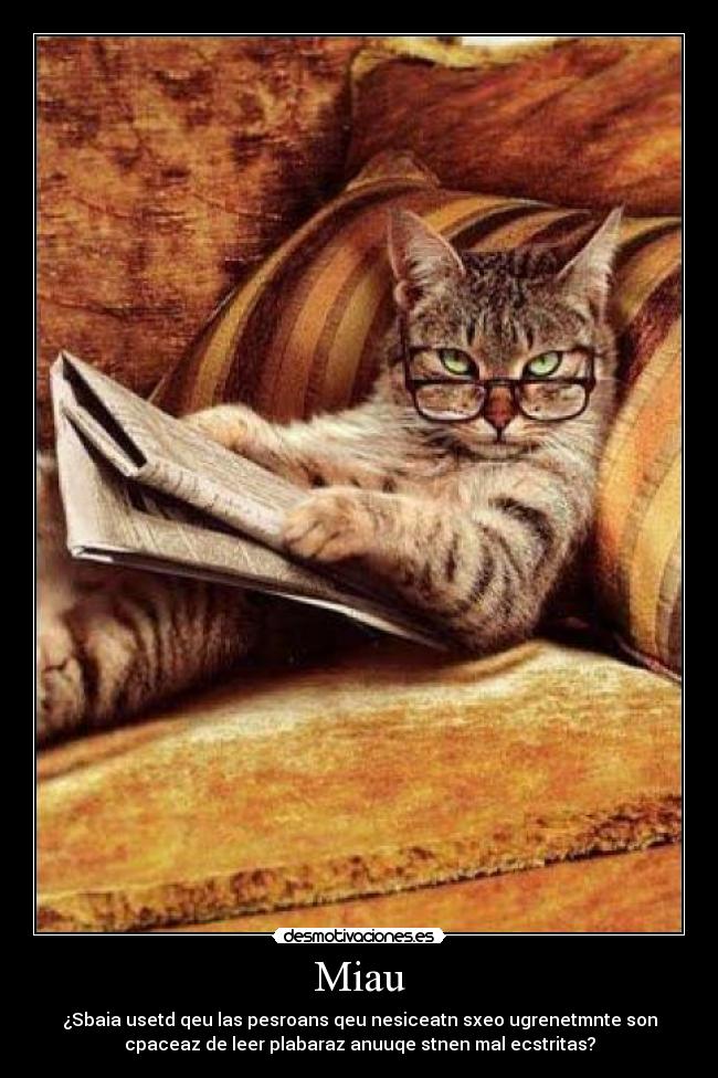 Miau - ¿Sbaia usetd qeu las pesroans qeu nesiceatn sxeo ugrenetmnte son
cpaceaz de leer plabaraz anuuqe stnen mal ecstritas?