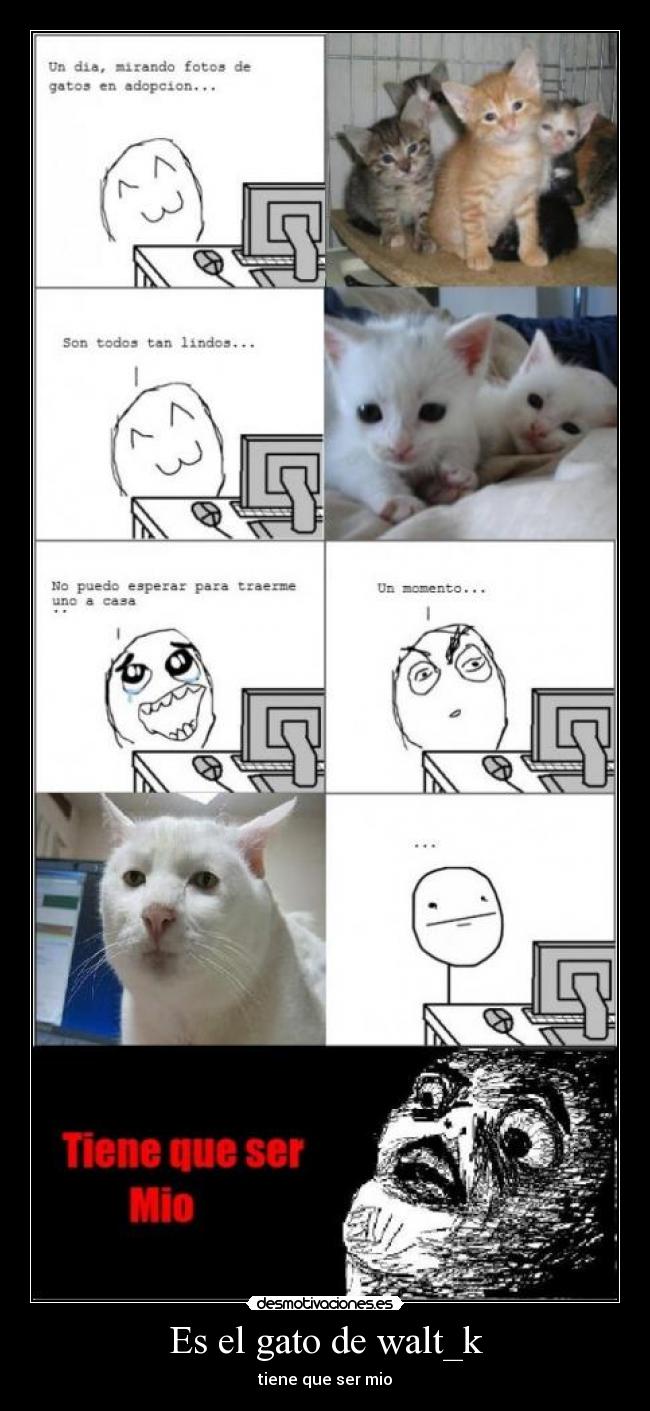 Es el gato de walt_k -