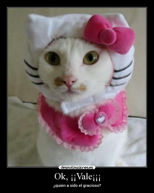 Ok, ¡¡Vale¡¡¡ -