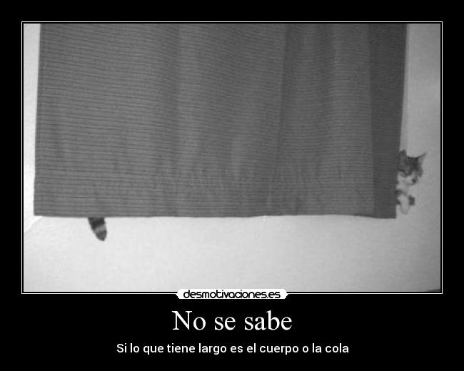 No se sabe - 