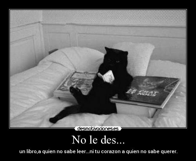 No le des... - 