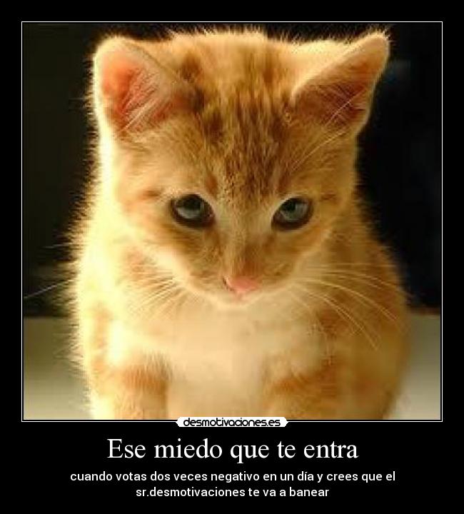 carteles miedo rcm10 comentad desmotivaciones