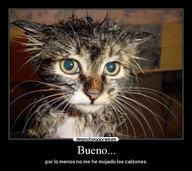 Bueno... - por lo menos no me he mojado los calzones.