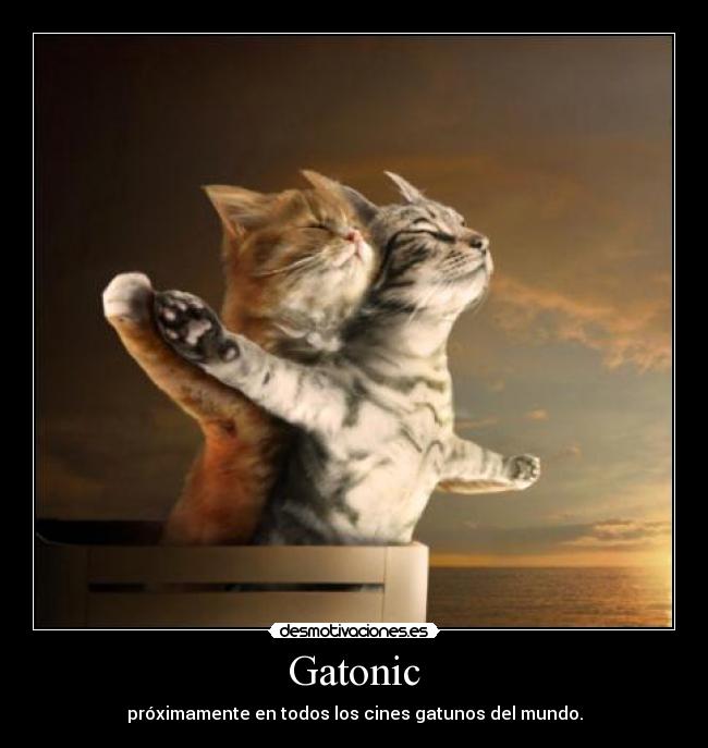 Gatonic - 