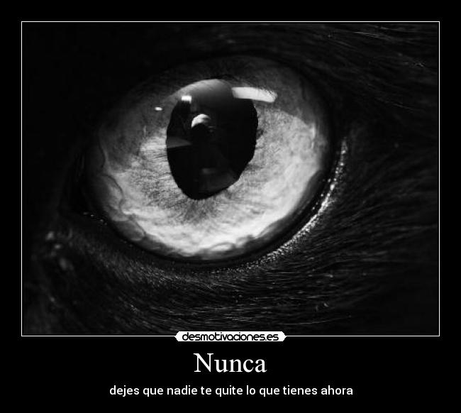 Nunca -