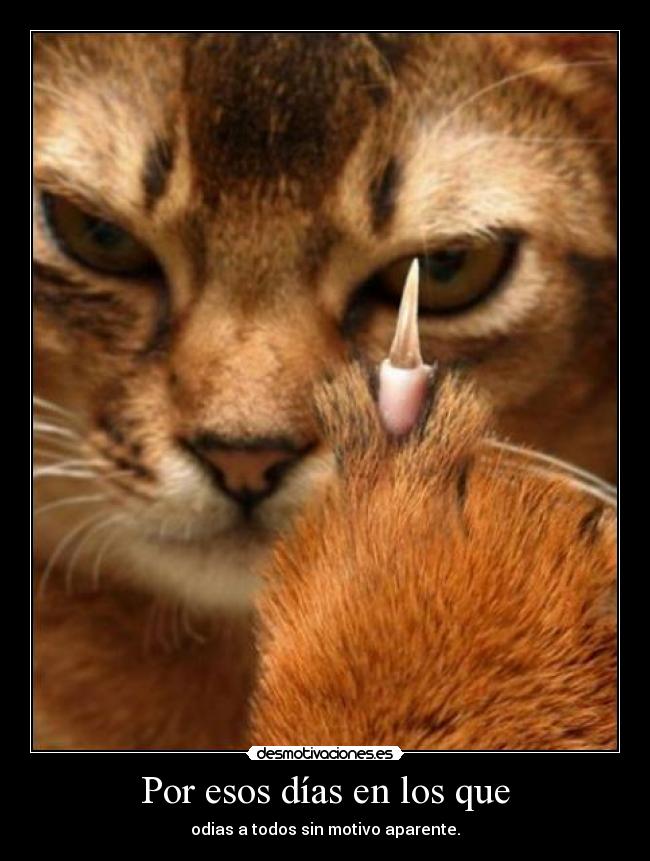 Por esos días en los que - 