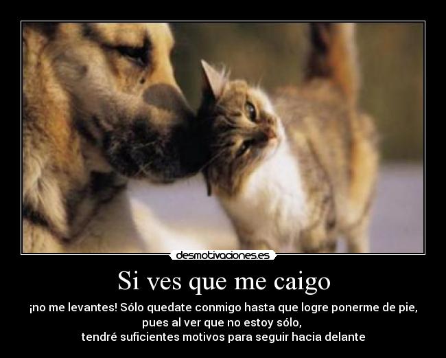 Si ves que me caigo -