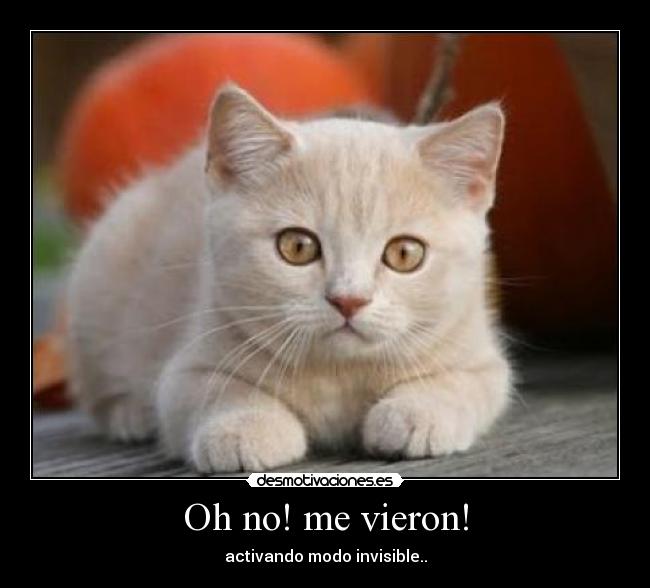 Oh no! me vieron! - activando modo invisible..