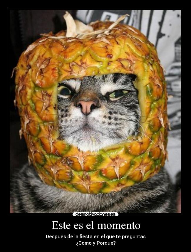 Este es el momento - Después de la fiesta en el que te preguntas
¿Como y Porque?