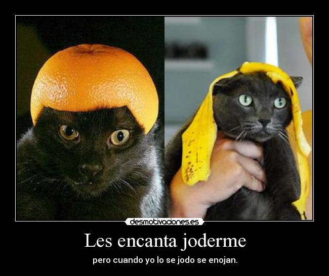 Les encanta joderme - 