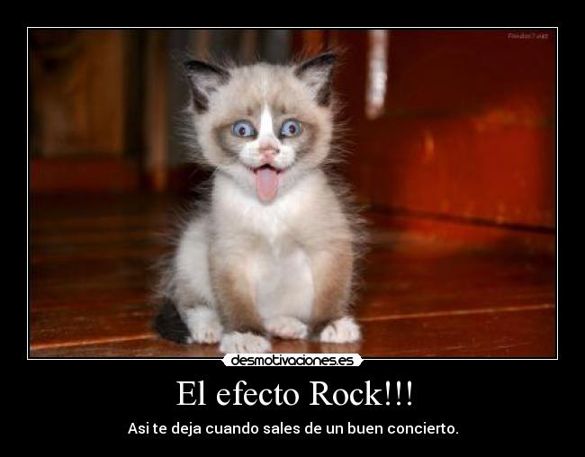 El efecto Rock!!! -