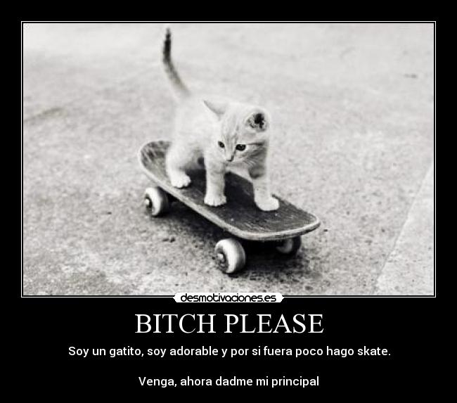 BITCH PLEASE - Soy un gatito, soy adorable y por si fuera poco hago skate.

Venga, ahora dadme mi principal