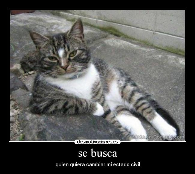 se busca -