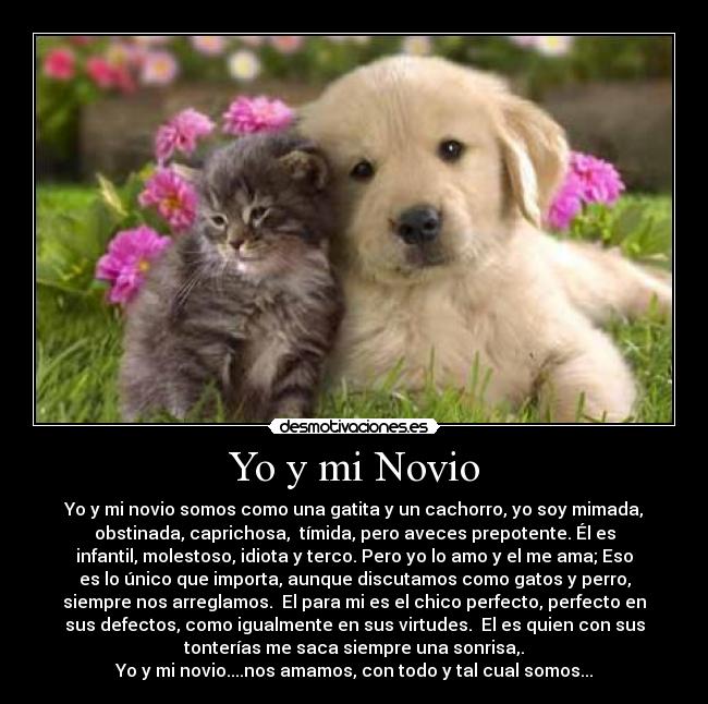 Yo y mi Novio - Yo y mi novio somos como una gatita y un cachorro, yo soy mimada,
obstinada, caprichosa, tímida, pero aveces prepotente. Él es
infantil, molestoso, idiota y terco. Pero yo lo amo y el me ama; Eso
es lo único que importa, aunque discutamos como gatos y perro,
siempre nos arreglamos. El para mi es el chico perfecto, perfecto en
sus defectos, como igualmente en sus virtudes. El es quien con sus
tonterías me saca siempre una sonrisa,.
Yo y mi novio....nos amamos, con todo y tal cual somos...