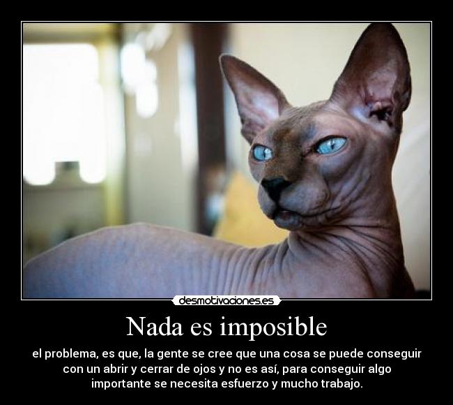 Nada es imposible -
