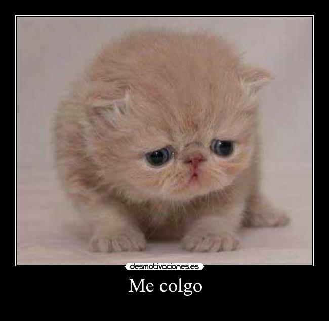 Me colgo -