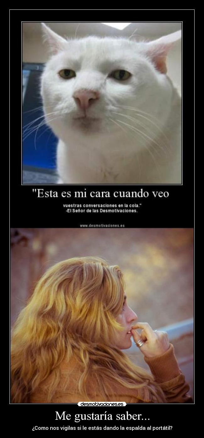 Me gustaría saber... - 