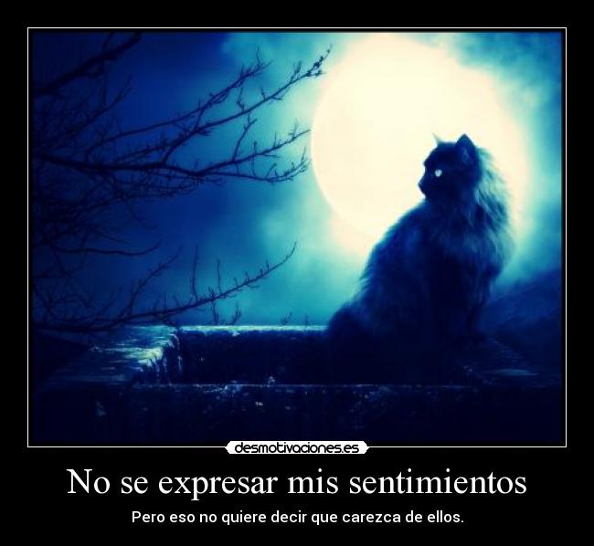 No se expresar mis sentimientos - Pero eso no quiere decir que carezca de ellos.