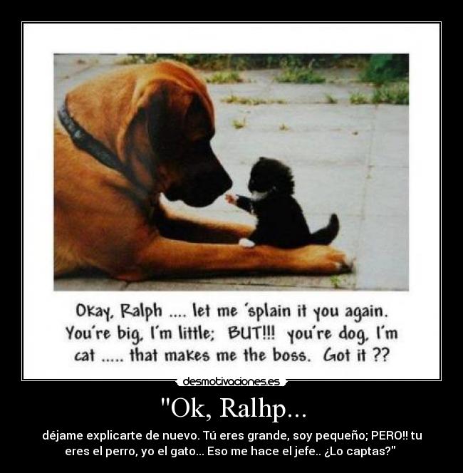 Ok, Ralhp... - déjame explicarte de nuevo. Tú eres grande, soy pequeño; PERO!! tu
eres el perro, yo el gato... Eso me hace el jefe.. ¿Lo captas? ♥