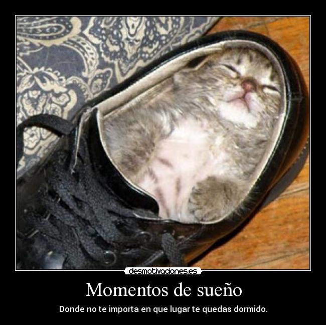 Momentos de sueño -