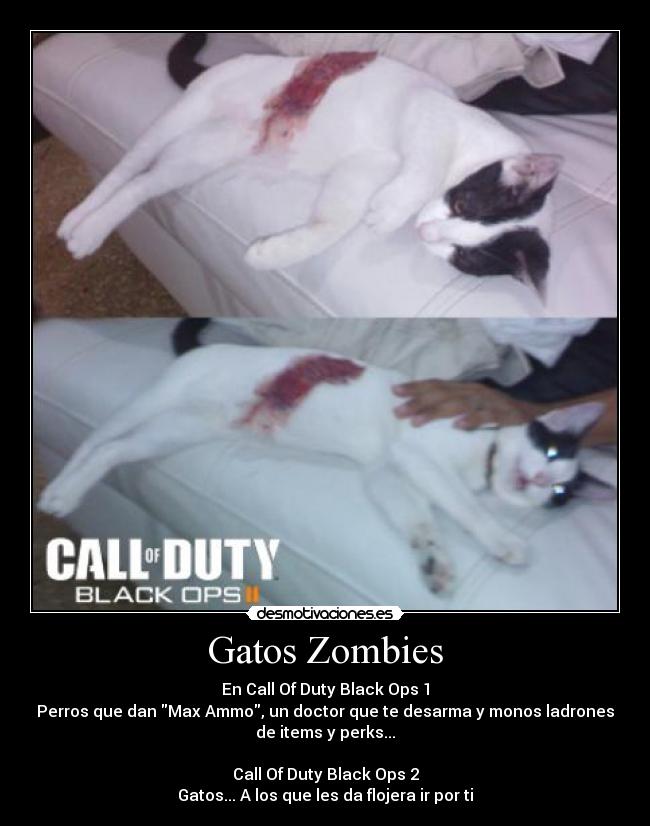 Gatos Zombies - En Call Of Duty Black Ops 1
Perros que dan Max Ammo, un doctor que te desarma y monos ladrones
de items y perks...

Call Of Duty Black Ops 2
Gatos... A los que les da flojera ir por ti