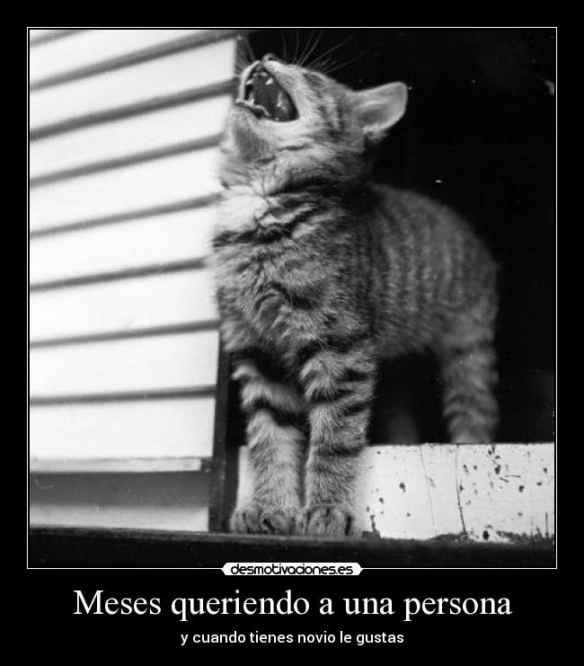 Meses queriendo a una persona -
