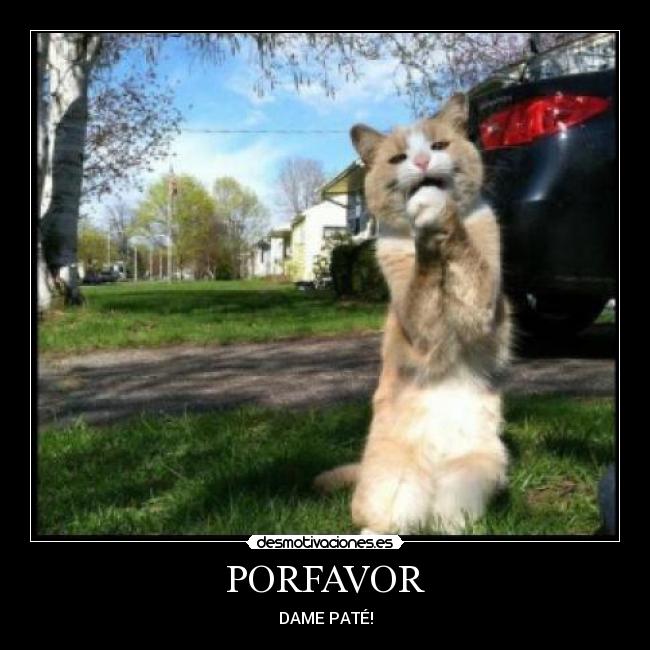 PORFAVOR -