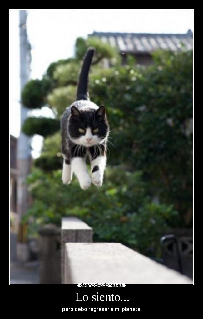 Lo siento... - pero debo regresar a mi planeta.
