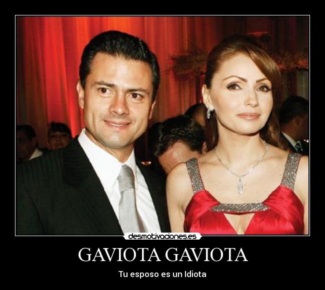 GAVIOTA GAVIOTA - Tu esposo es un Idiota